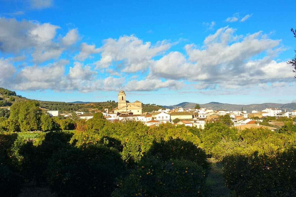 El Pinar • Andalucía Wordle Blog